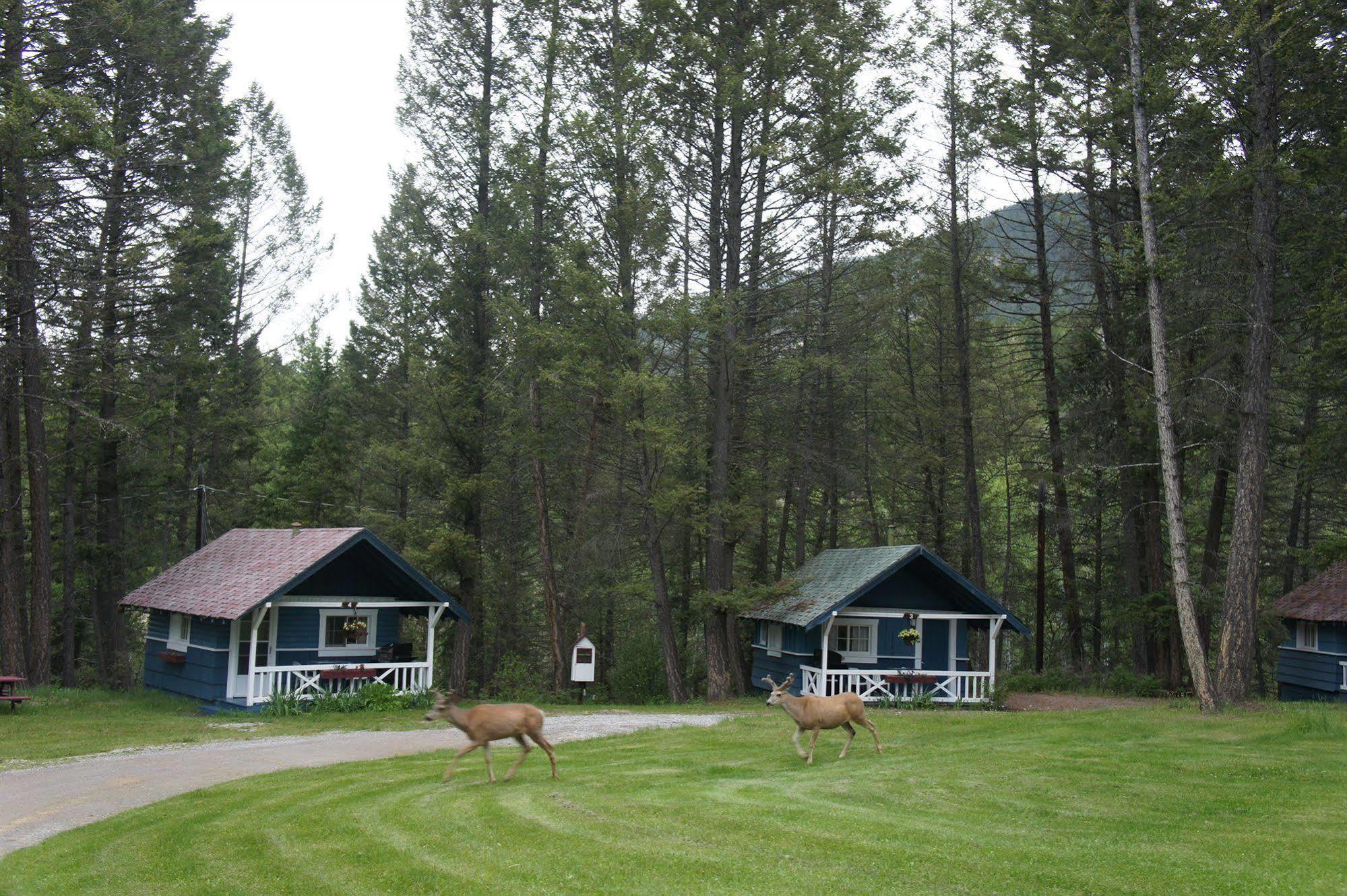 Fairmont Mountain Bungalows Fairmont Hot Springs Zewnętrze zdjęcie